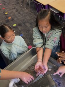 642431891_17913261630338697_3233357048106738928_n